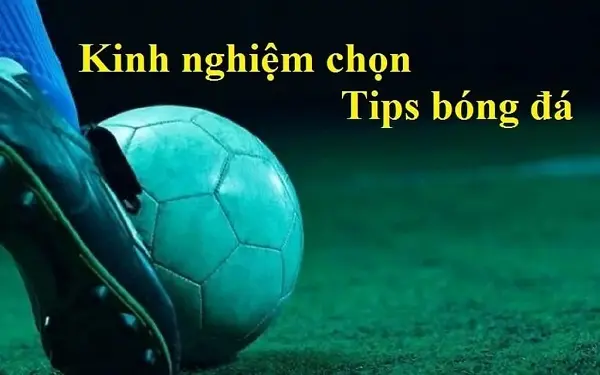 Bí kíp áp dụng tips bóng đá hiệu quả nhất