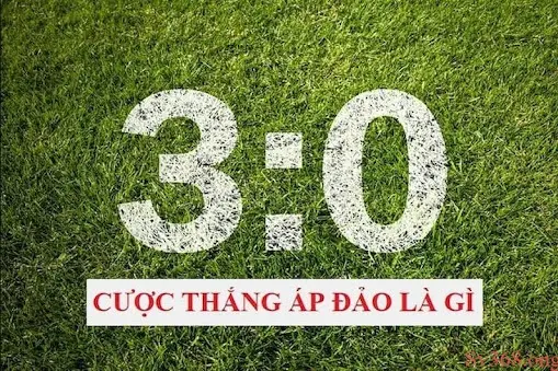 Mẹo đánh cược thắng áp đảo hay nhất dành cho người mới