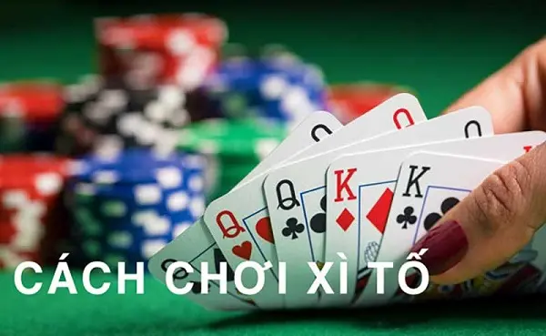 Hướng dẫn chơi Xì Tố cho người mới chơi