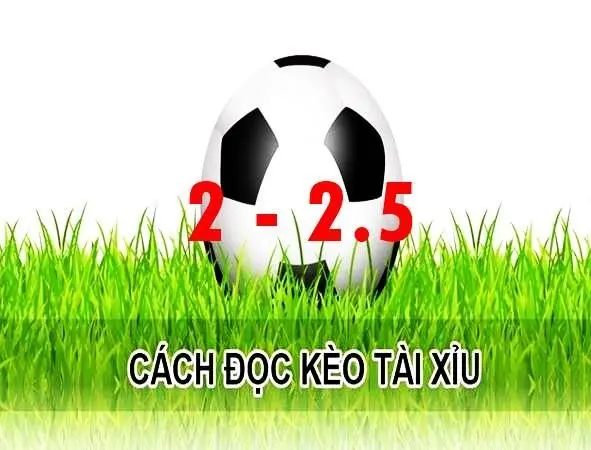 Tài xỉu 2-2.5 – Đâu là cách đánh tài xỉu 2.25 có cơ hội thắng cao nhất 2025