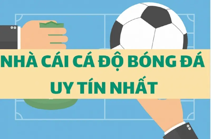 Tại sao phải chọn nhà cái cá độ bóng đá uy tín