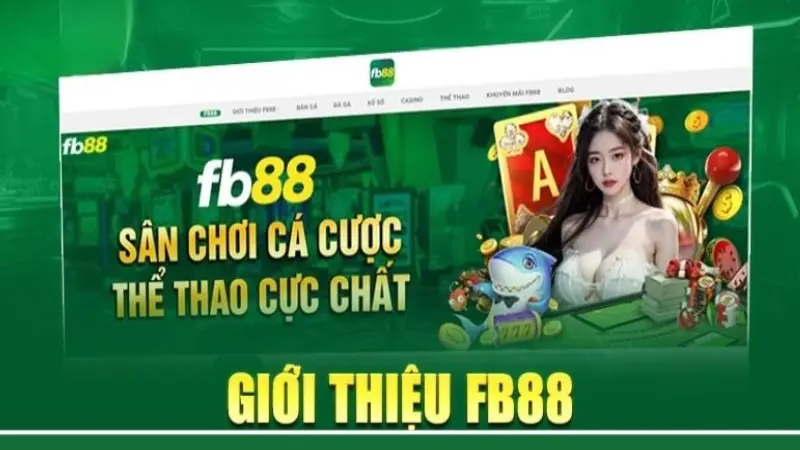 Trải nghiệm nhà cái FB88 – Bảng xếp hạng nhà cái uy tín 2025