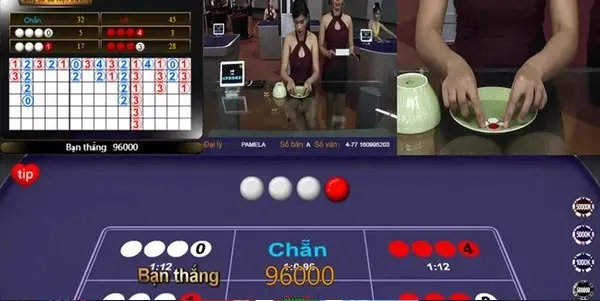 Xóc Đĩa Học chơi cơ bản từ A đến Z