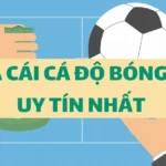 Tại sao phải chọn nhà cái cá độ bóng đá uy tín?